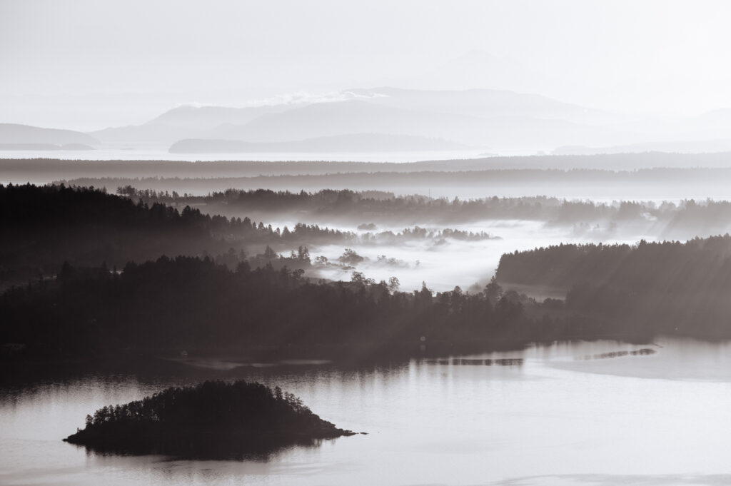 Dean Kalyan Photographer Victoria BC